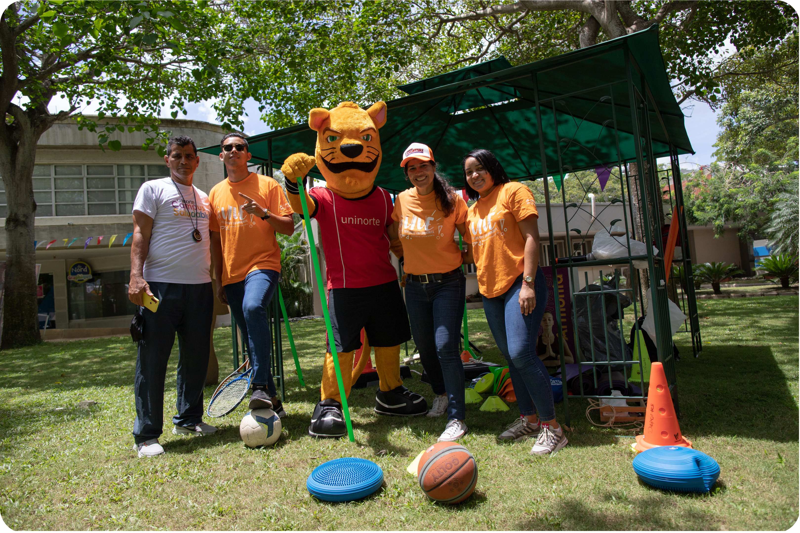 Cuarta Responsive Image