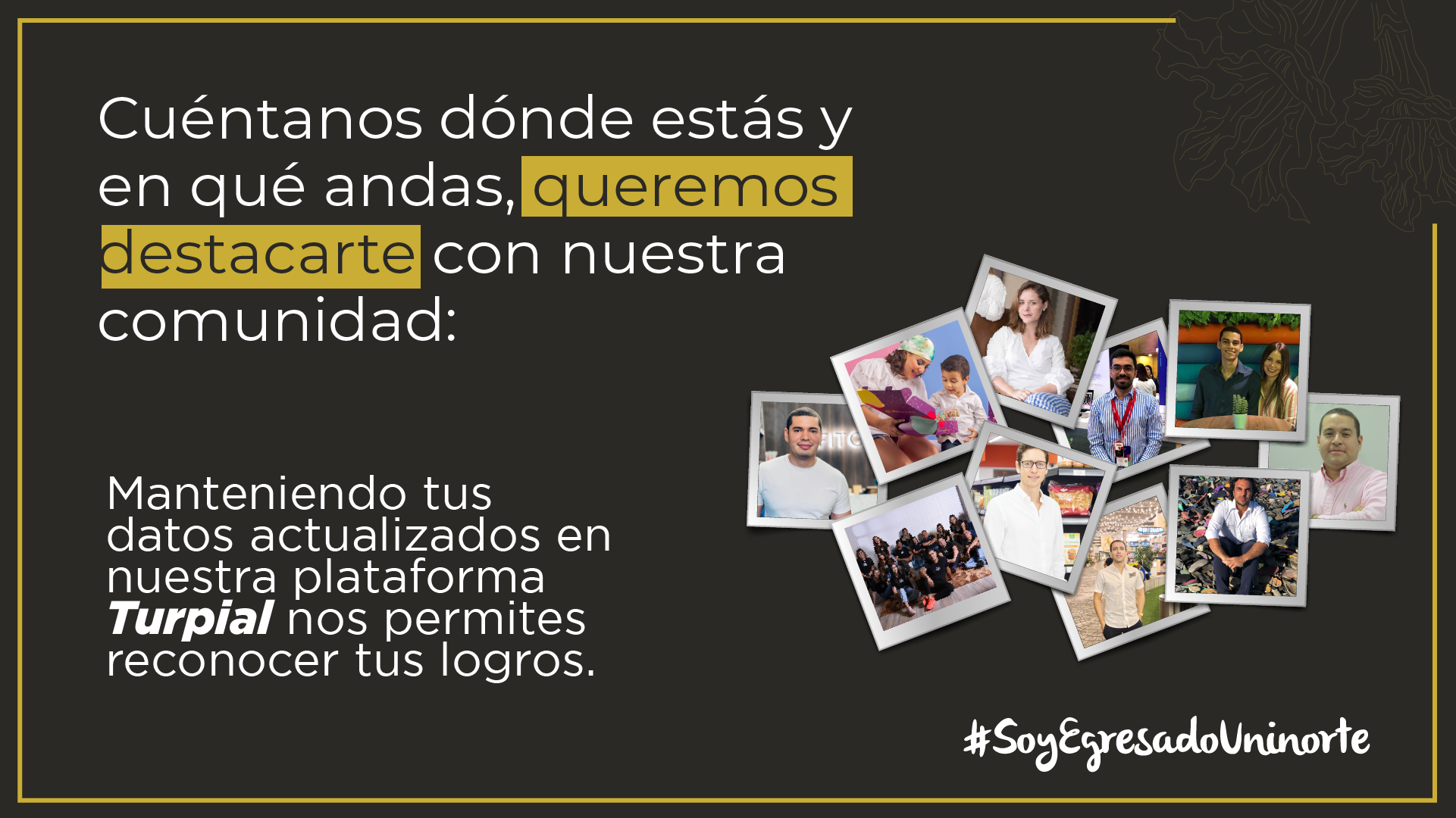 Segunda Responsive Image