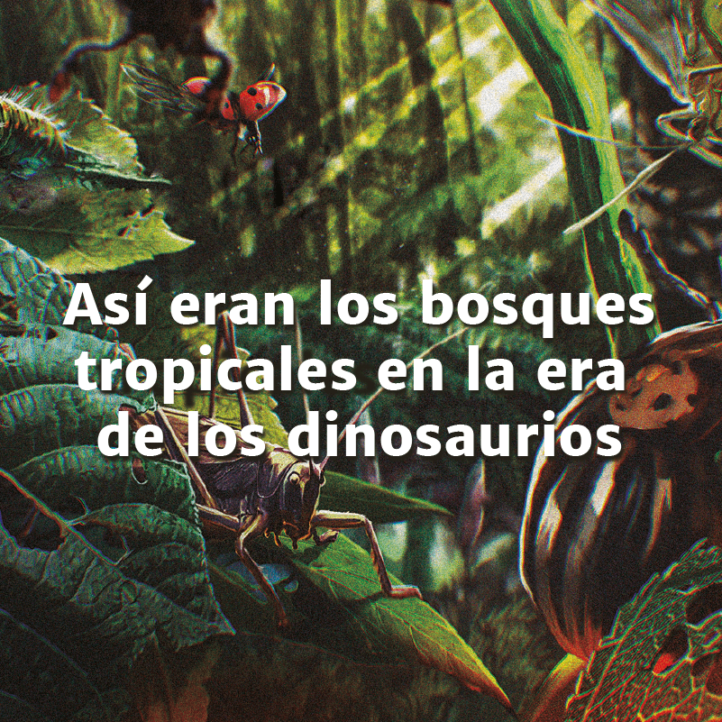 Así eran los bosques tropicales en la era de los dinosaurios