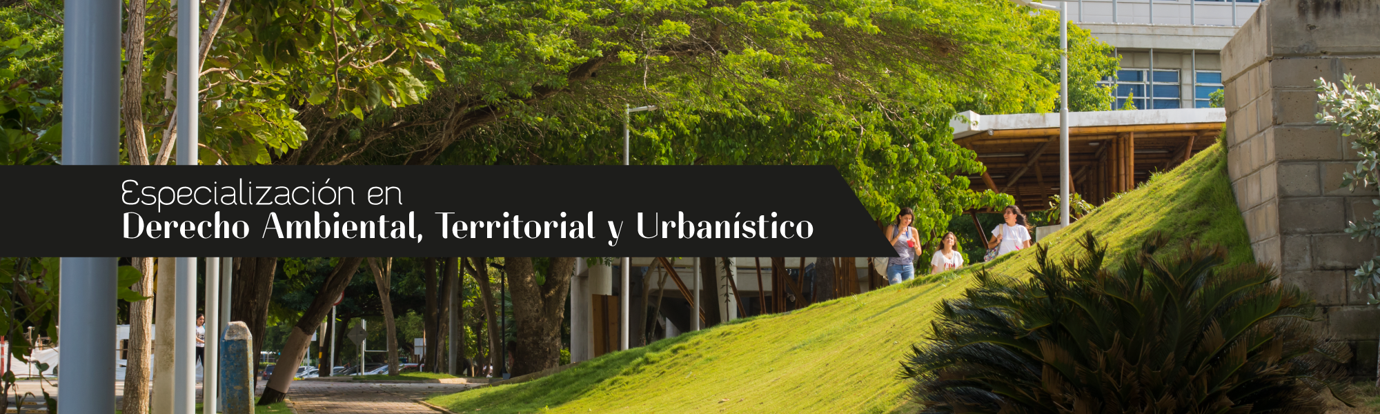 Especialización en Derecho Ambiental, Territorial y Urbanismo