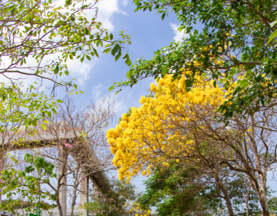 Divisiones y departamentos